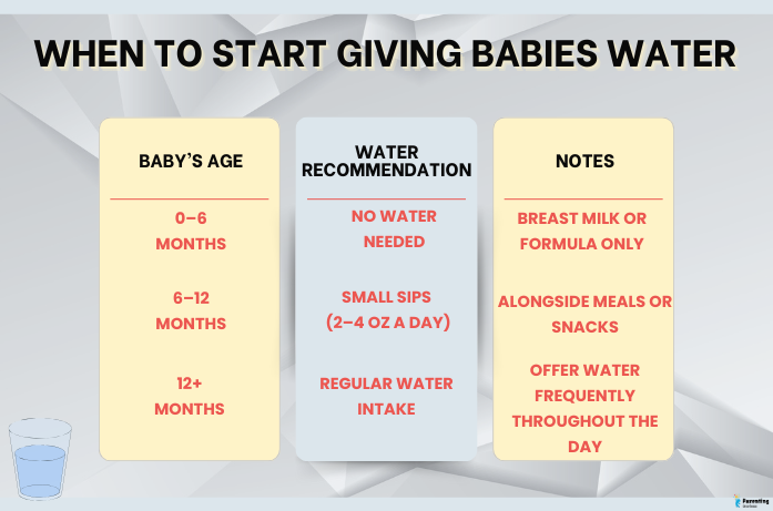 Parents offering water safely to support hydration for babies