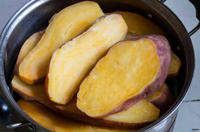 sweet potato puree first foods for babies